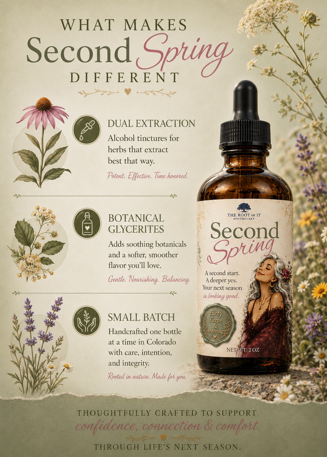 An informational product graphic for Second Spring herbal tincture, featuring a bottle of the tincture on the right and several text callouts with botanical illustrations on the left. The text explains dual extraction, botanical glycerides, and small batch craftsmanship.