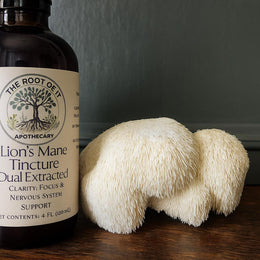 Lion’s Mane Mushroom Tincture | Organic Dual Extract | Daily Clarity & Wellness Ritual
