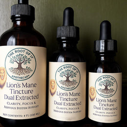 Lion’s Mane Mushroom Tincture | Organic Dual Extract | Daily Clarity & Wellness Ritual