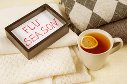 Immune Shield Elixir | Elderberry, Echinacea & Reishi Herbal Tincture | Seasonal Wellness Blend