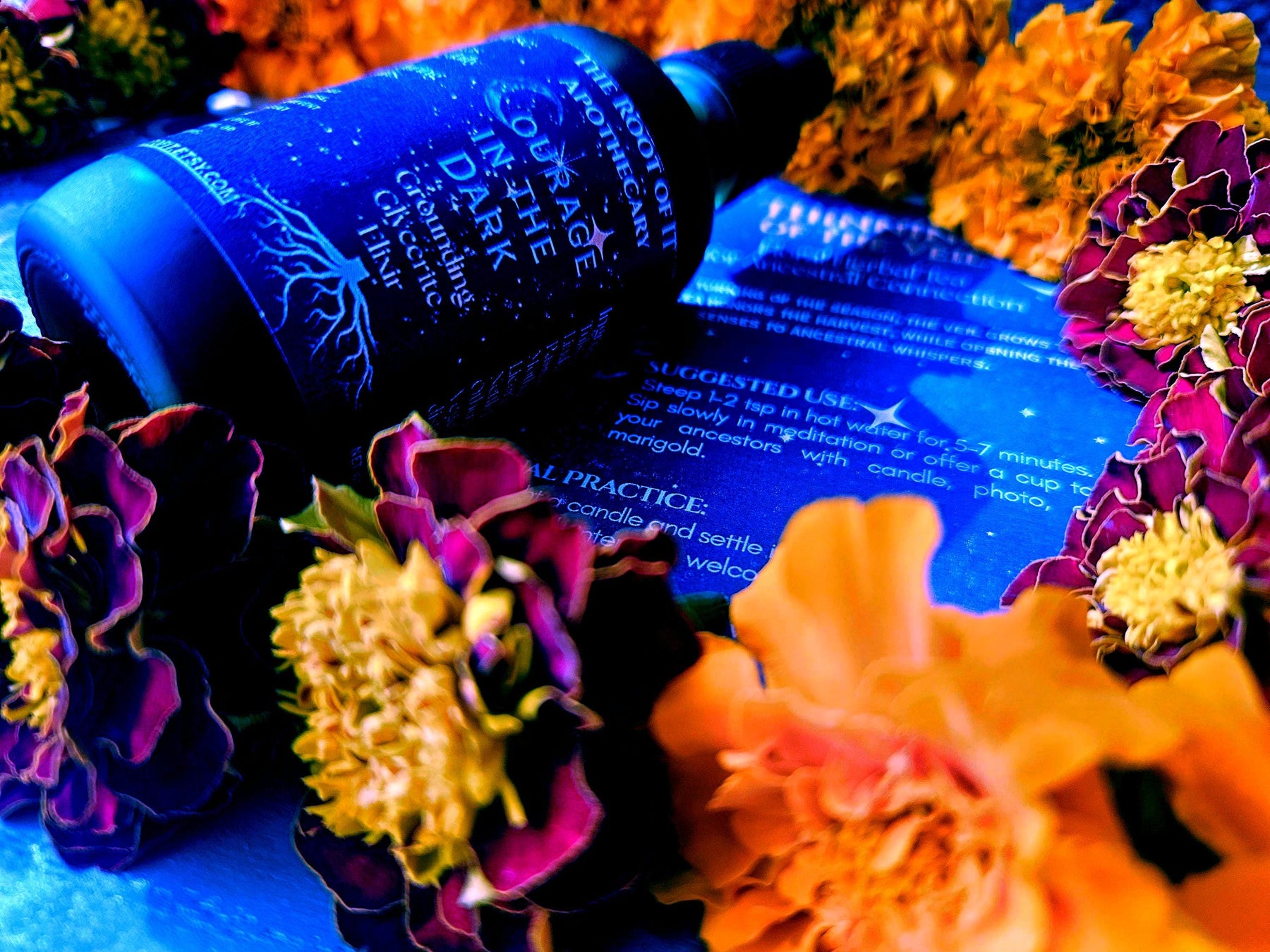 Courage in the Dark | Alcohol-Free Glycerite for Emotional Balance & Nervous System Nourishment