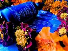 Courage in the Dark | Alcohol-Free Glycerite for Emotional Balance & Nervous System Nourishment