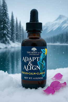 Clear Mornings & Steady Energy | Lion’s Mane and Cordyceps Herbal Tincture | Daily Focus Ritual