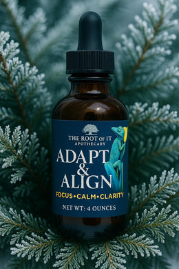 Clear Mornings & Steady Energy | Lion’s Mane and Cordyceps Herbal Tincture | Daily Focus Ritual
