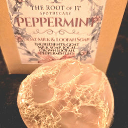 Goat Milk Loofah Soap | Exfoliating Handmade Bar, Winter Scents