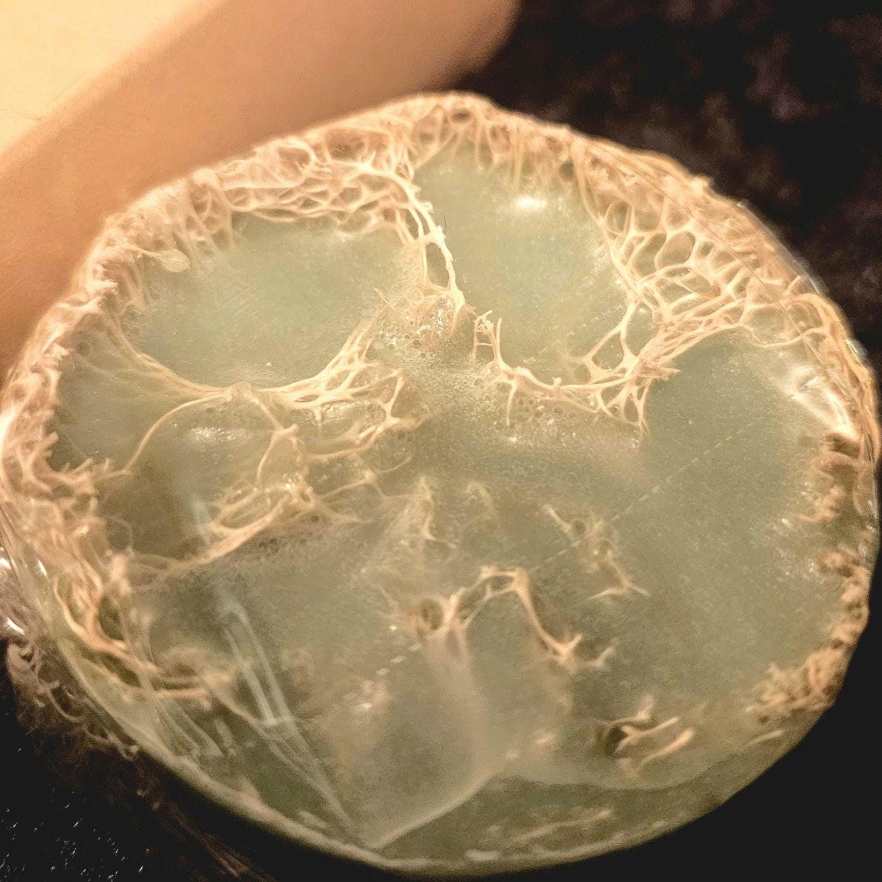 Goat Milk Loofah Soap | Exfoliating Handmade Bar, Winter Scents