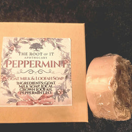 Goat Milk Loofah Soap | Exfoliating Handmade Bar, Winter Scents