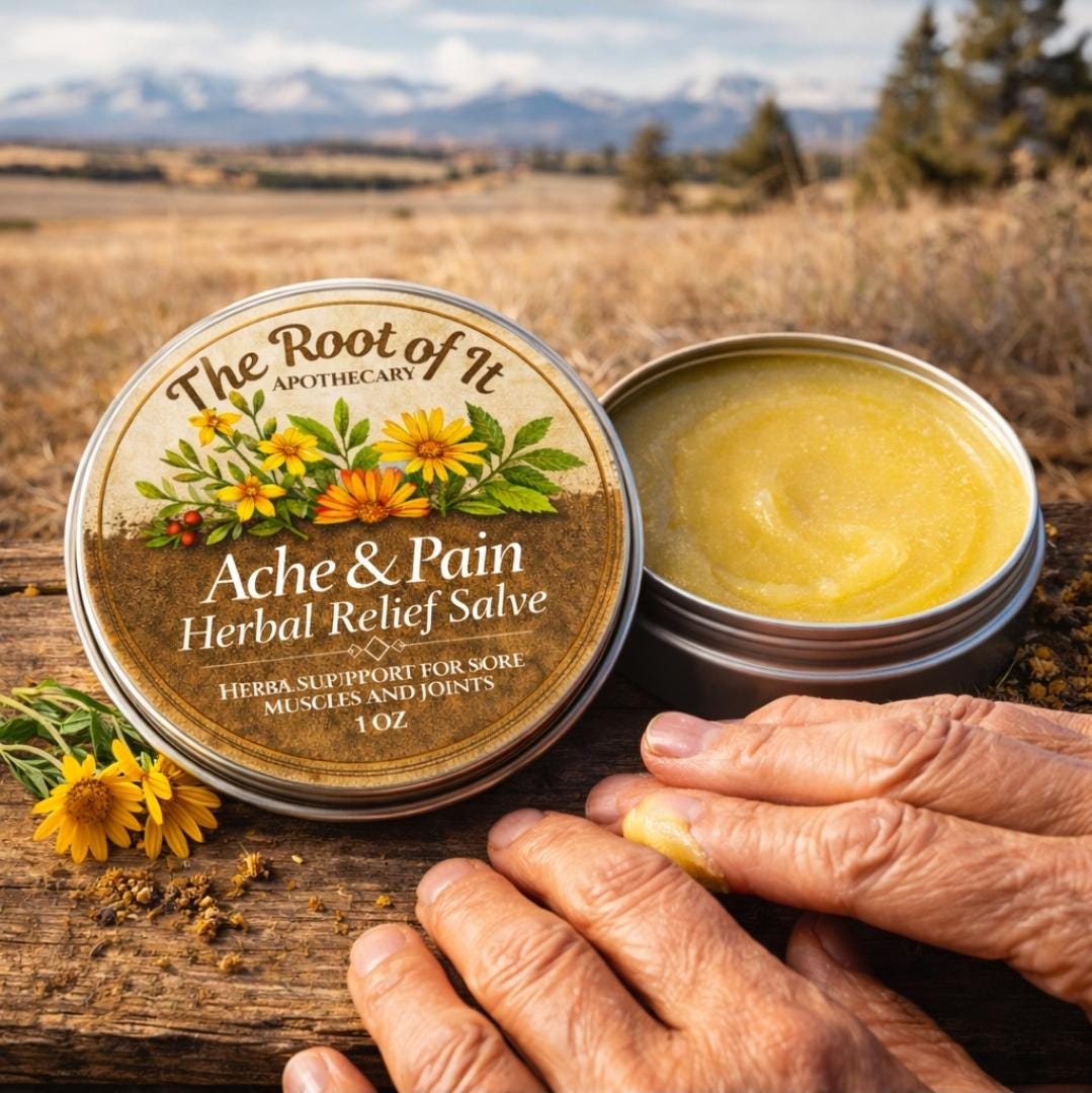 Arnica St. John’s Wort Calendula Herbal Salve | Warming Botanical Balm for Gentle Comfort