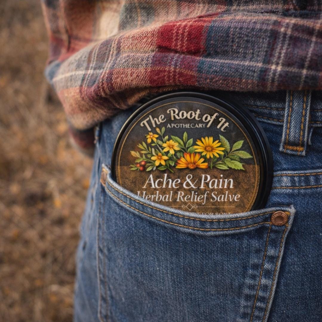 Arnica St. John’s Wort Calendula Herbal Salve | Warming Botanical Balm for Gentle Comfort