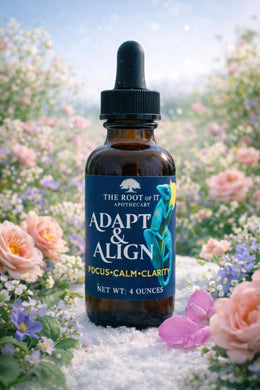 Clear Mornings & Steady Energy | Lion’s Mane and Cordyceps Herbal Tincture | Daily Focus Ritual