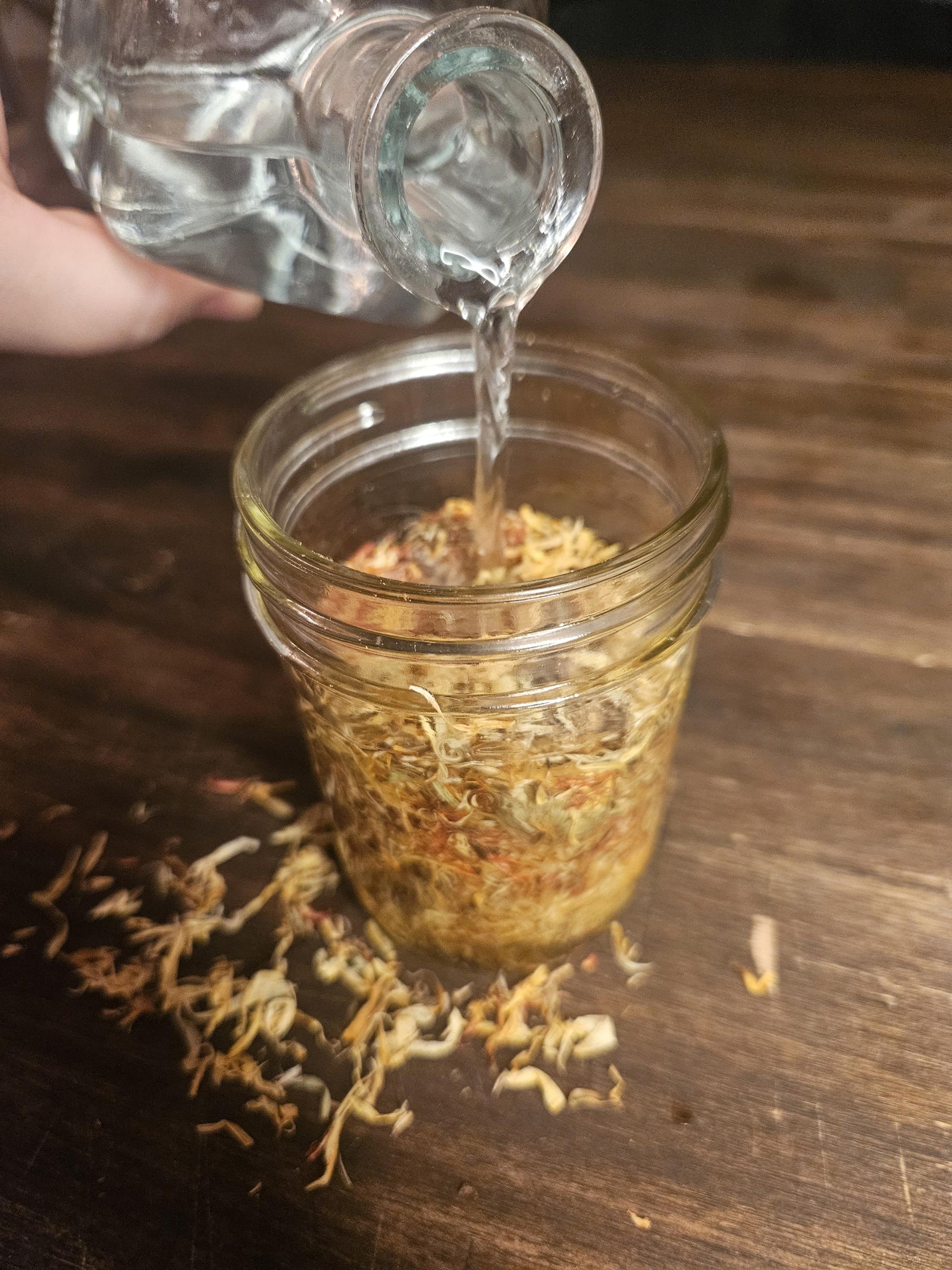 Herbal Starter Kit - DIY Infusion Box | Beginner Herbalism: Grow + Make Your Own Herbal Remedies