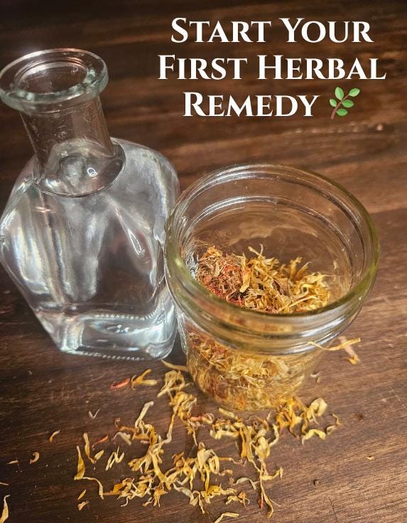 Herbal Starter Kit - DIY Infusion Box | Beginner Herbalism: Grow + Make Your Own Herbal Remedies
