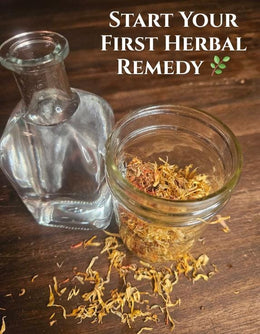 Herbal Starter Kit - DIY Infusion Box | Beginner Herbalism: Grow + Make Your Own Herbal Remedies