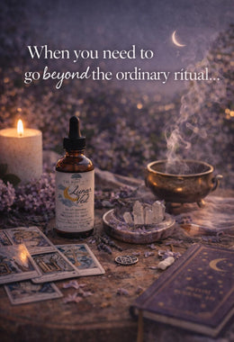 Lunar Veil | Evening Ritual Tincture for Meditation, Reflection & Dreamwork | Botanical Blend