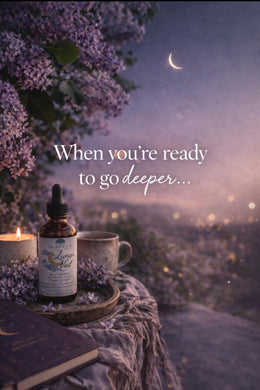 Lunar Veil | Evening Ritual Tincture for Meditation, Reflection & Dreamwork | Botanical Blend