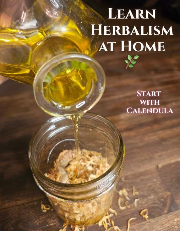 DIY Herbal Starter Kit | Grow, Infuse & Make Your Own Herbal Remedies