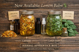 Herbal Starter Kit - DIY Infusion Box | Beginner Herbalism: Grow + Make Your Own Herbal Remedies
