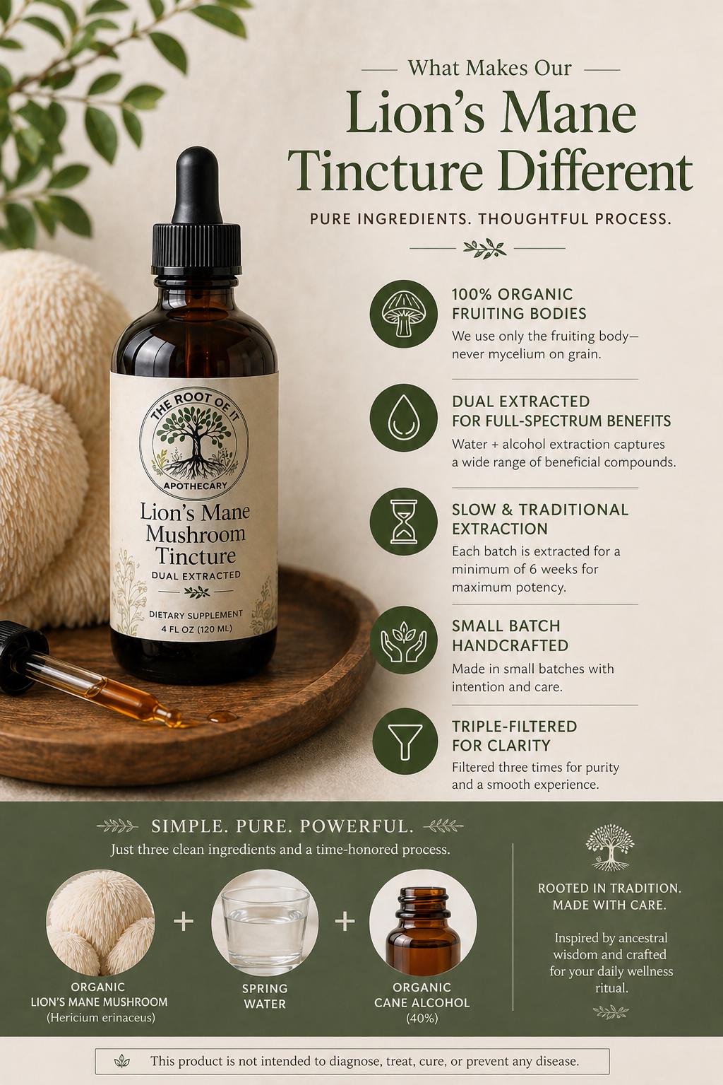 Lion’s Mane Mushroom Tincture | Organic Dual Extract | Daily Clarity & Wellness Ritual