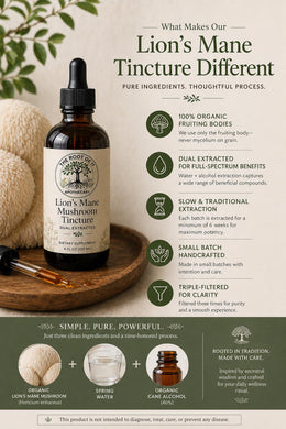 Lion’s Mane Mushroom Tincture | Organic Dual Extract | Daily Clarity & Wellness Ritual