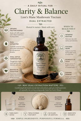 Lion’s Mane Mushroom Tincture | Organic Dual Extract | Daily Clarity & Wellness Ritual