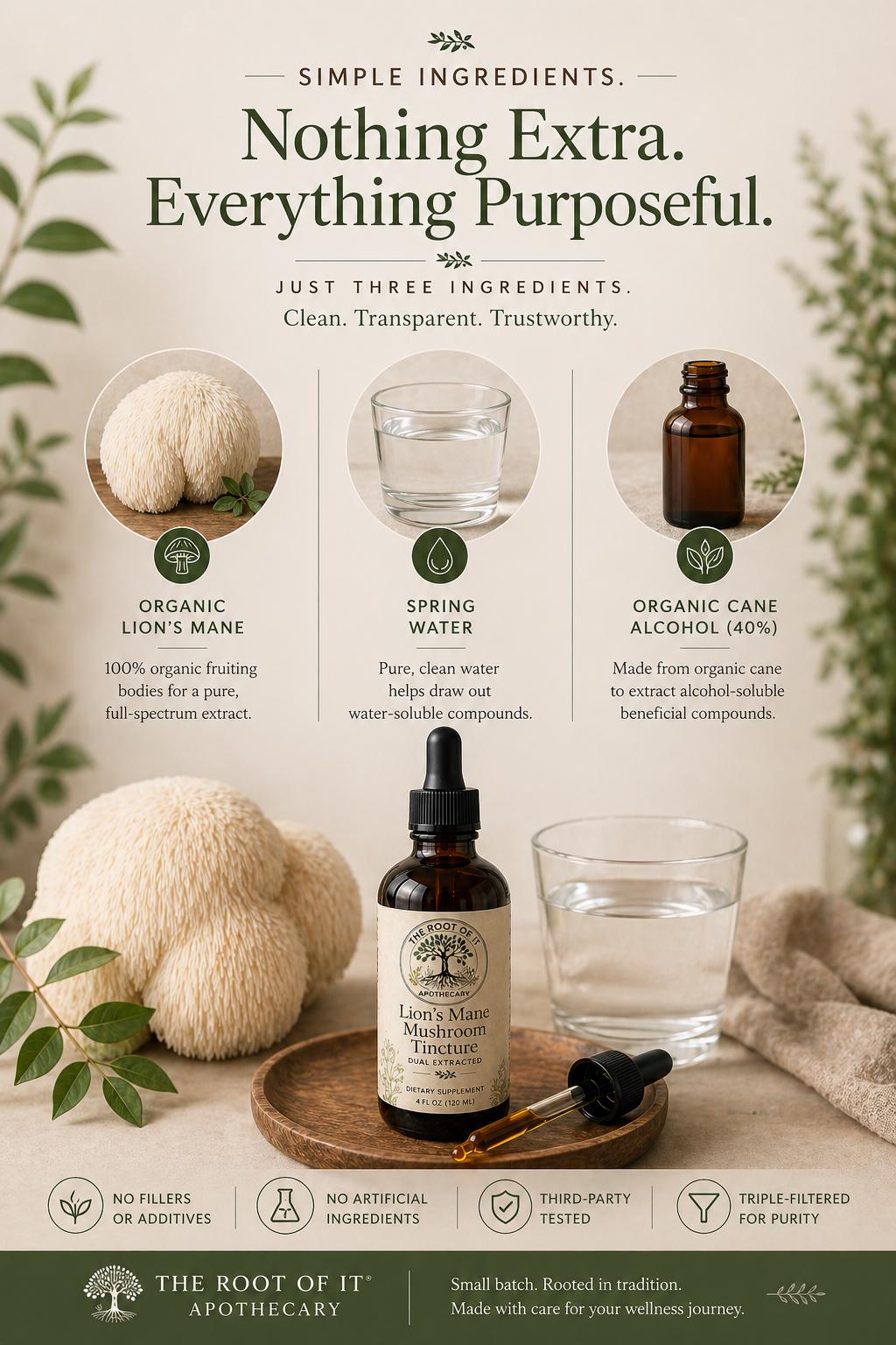 Lion’s Mane Mushroom Tincture | Organic Dual Extract | Daily Clarity & Wellness Ritual