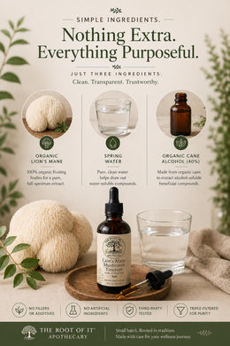Lion’s Mane Mushroom Tincture | Organic Dual Extract | Daily Clarity & Wellness Ritual