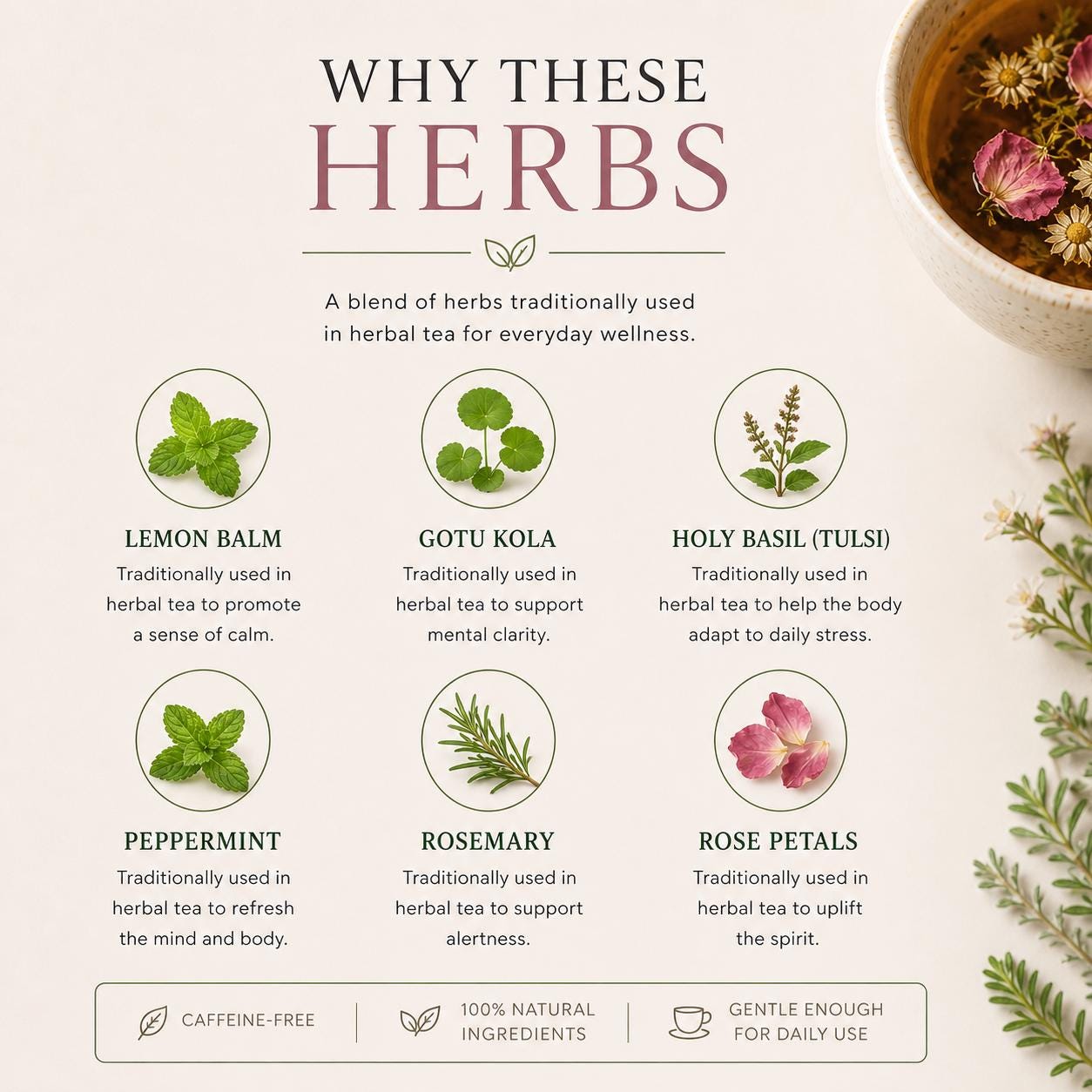 Focus Herbal Tea | Bright Botanical & Caffeine-Free Blend