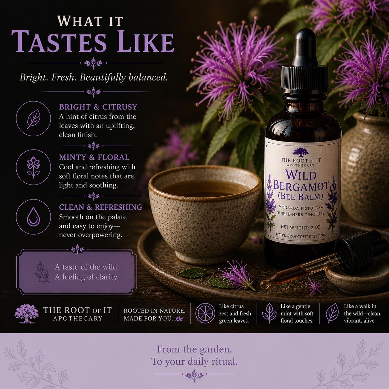 Wild Bergamot Tincture (Bee Balm) | Monarda Fistulosa | Single Herb & Small Batch Botanical Extract