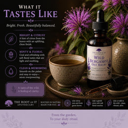 Wild Bergamot Tincture (Bee Balm) | Monarda Fistulosa | Single Herb & Small Batch Botanical Extract