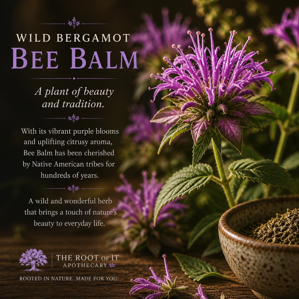 Wild Bergamot Tincture (Bee Balm) | Monarda Fistulosa | Single Herb & Small Batch Botanical Extract