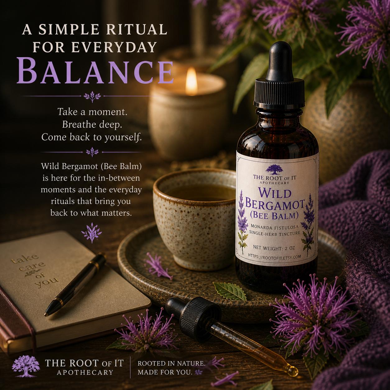 Wild Bergamot Tincture (Bee Balm) | Monarda Fistulosa | Single Herb & Small Batch Botanical Extract