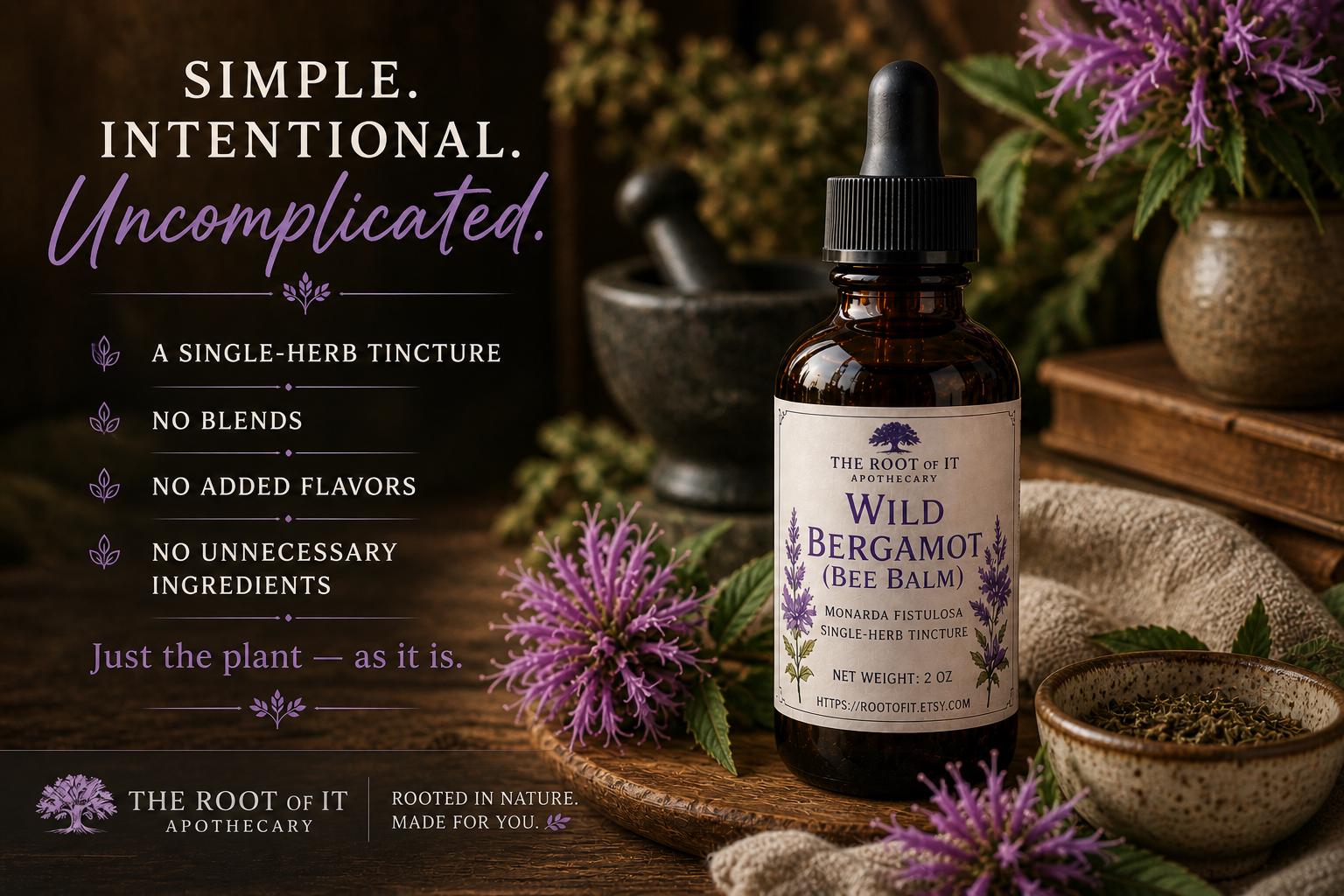 Wild Bergamot Tincture (Bee Balm) | Monarda Fistulosa | Single Herb & Small Batch Botanical Extract