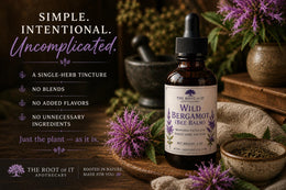 Wild Bergamot Tincture (Bee Balm) | Monarda Fistulosa | Single Herb & Small Batch Botanical Extract