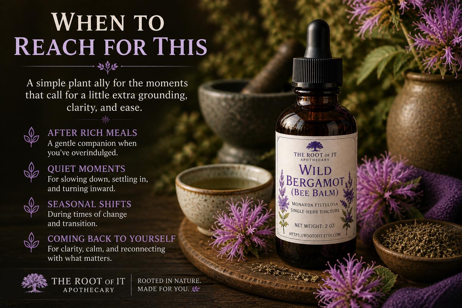 Wild Bergamot Tincture (Bee Balm) | Monarda Fistulosa | Single Herb & Small Batch Botanical Extract