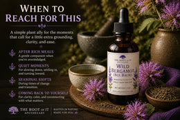 Wild Bergamot Tincture (Bee Balm) | Monarda Fistulosa | Single Herb & Small Batch Botanical Extract
