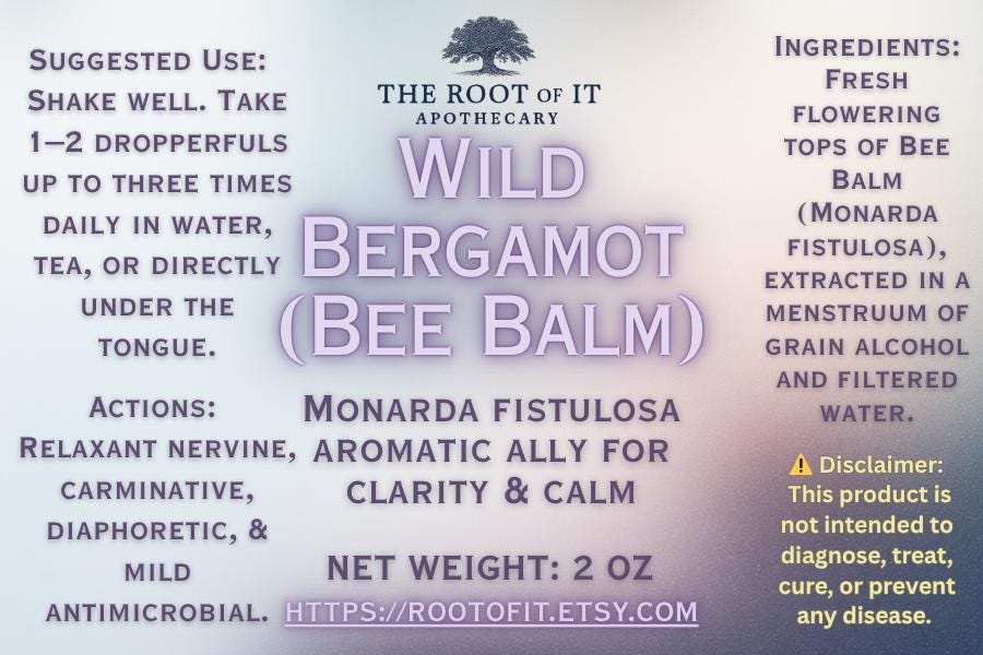 Wild Bergamot Tincture (Bee Balm) | Monarda Fistulosa | Single Herb & Small Batch Botanical Extract