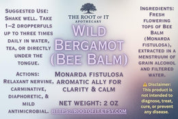 Wild Bergamot Tincture (Bee Balm) | Monarda Fistulosa | Single Herb & Small Batch Botanical Extract