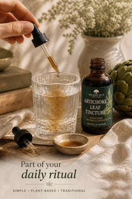 Artichoke Leaf Tincture | Herbal Bitter Extract | Traditional Botanical | Small Batch