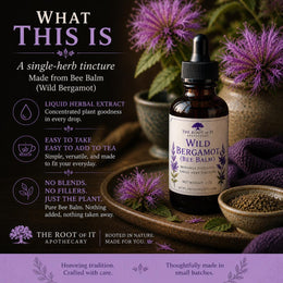 Wild Bergamot Tincture (Bee Balm) | Monarda Fistulosa | Single Herb & Small Batch Botanical Extract