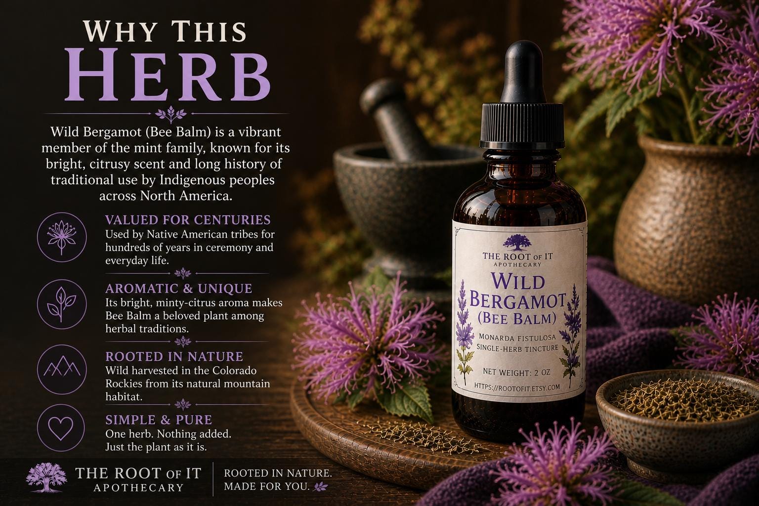 Wild Bergamot Tincture (Bee Balm) | Monarda Fistulosa | Single Herb & Small Batch Botanical Extract