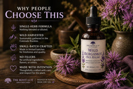 Wild Bergamot Tincture (Bee Balm) | Monarda Fistulosa | Single Herb & Small Batch Botanical Extract